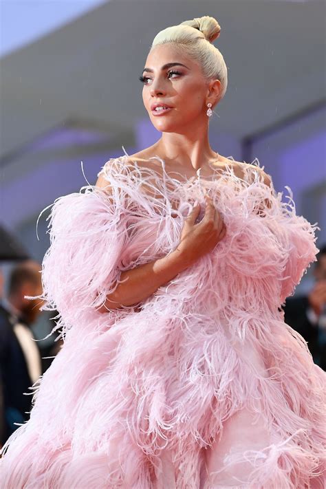 lady gaga pink flamingo.